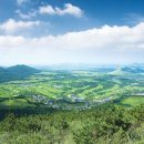 엘리시안CC 이미지