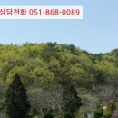 명동보건진료소 네이버블로그