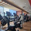 움 Gym | 가산 PT, 가산헬스장 움GYM 후기