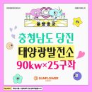 지수 태양광발전소 이미지