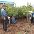 상녹수농장 이미지