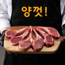 블루펫