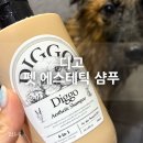 우리펫 | 강아지천연샴푸 디고 [펫 에스테틱 샴푸] 우리집 댕댕이 사용 후기 :)