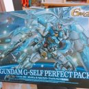 셀프 팩 self pack