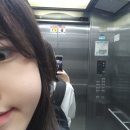 종로-연건-종로-연-445 | apricity