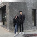 보네찬스 이미지