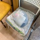 두번먹는명인김치찜 | 상동김치찜 포장&amp;배달 맛집 두번먹는명인김치찜 송내점 포장후기