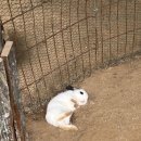 유포리목장 이미지