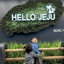 (주)KD렌트카 | 제주도 KD렌터카/유모차친구/ 가족여행 리뷰