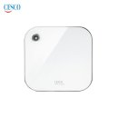 히트 태권도 이미지