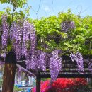 부천중앙내과의원 이미지