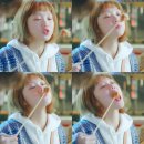강아지고양이편의점 - 남구 용호로 220 | 강아지고양이편의점