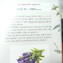 서재아로마 이미지