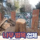 SK큰나무셀프주유소 이미지