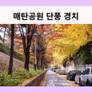 둔전간이체육공원 배드민턴장 | 수원의 숨은 명소, 매탄공원에서 힐링하기!