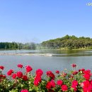 풍암호수공원 이미지