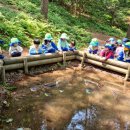 한림성심대학교부속 한림유치원 이미지