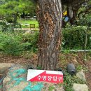 골안민박 이미지