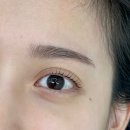 라니래쉬(rani lash) | 안산 고잔동 속눈썹펌 정착지 "네페르뷰티" 시술 리뷰/후기