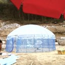 효일 이미지