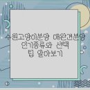 독스캣 강아지고양이 수원점 | 수원고양이분양 애완견분양 인기종류와 선택 팁 알아보기