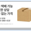 스테디독 이미지