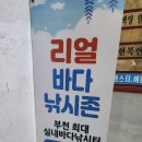 리얼바다낚시터 이미지