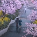 언제나봄 이미지