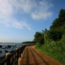 올레길 - 북구 동변로23길 13-21 | 올레길