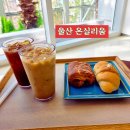 온실리움 | [일상기록] 13개월 아기와 울산 울주군 식목원 카페 '온실리움' 다녀온 후기