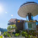 스카이타워 이미지