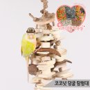 블루코코넛