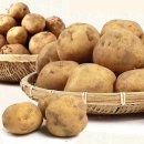 온누리팜 이미지