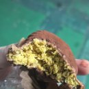 일신팜 | 통영 아이와 슬기로운 겨울방학 생활