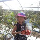 동신병설유치원 이미지