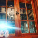 신신교통(주) 이미지