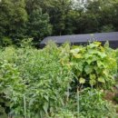 병순농장 이미지