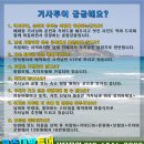 남성관광여행사