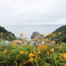 홍도야 머니투데이