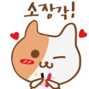 킴스코스메틱