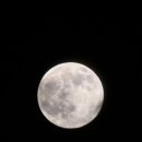 고니미미 | 분량조절실패로 대용량으로 낋였어요