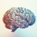 Q&amp;A: 알츠하이머병 바이오마커에 대한 아미르 카샤니의 설명 이미지