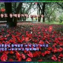 꽃 노래방 이미지