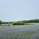 태신농장 이미지