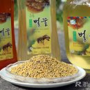 지리산벌꿀영농조합법인 네이버블로그