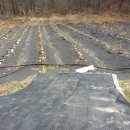 방초농장 이미지