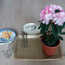 무심농장 이미지