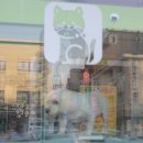 북문다솜동물병원 이미지