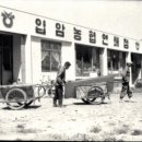 농협연쇄점 이미지