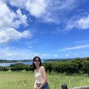 음메소농장 | Ishigaki(이시가키) 첫번째 이야기